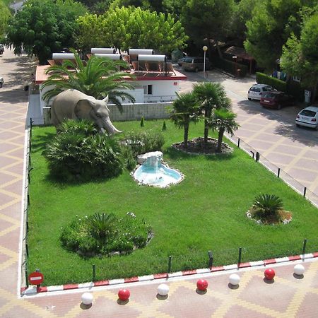 Camping L'Alqueria Gandia Ngoại thất bức ảnh